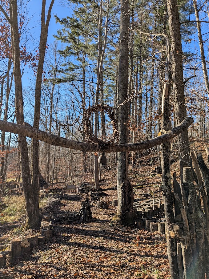 Women's nature immersion 